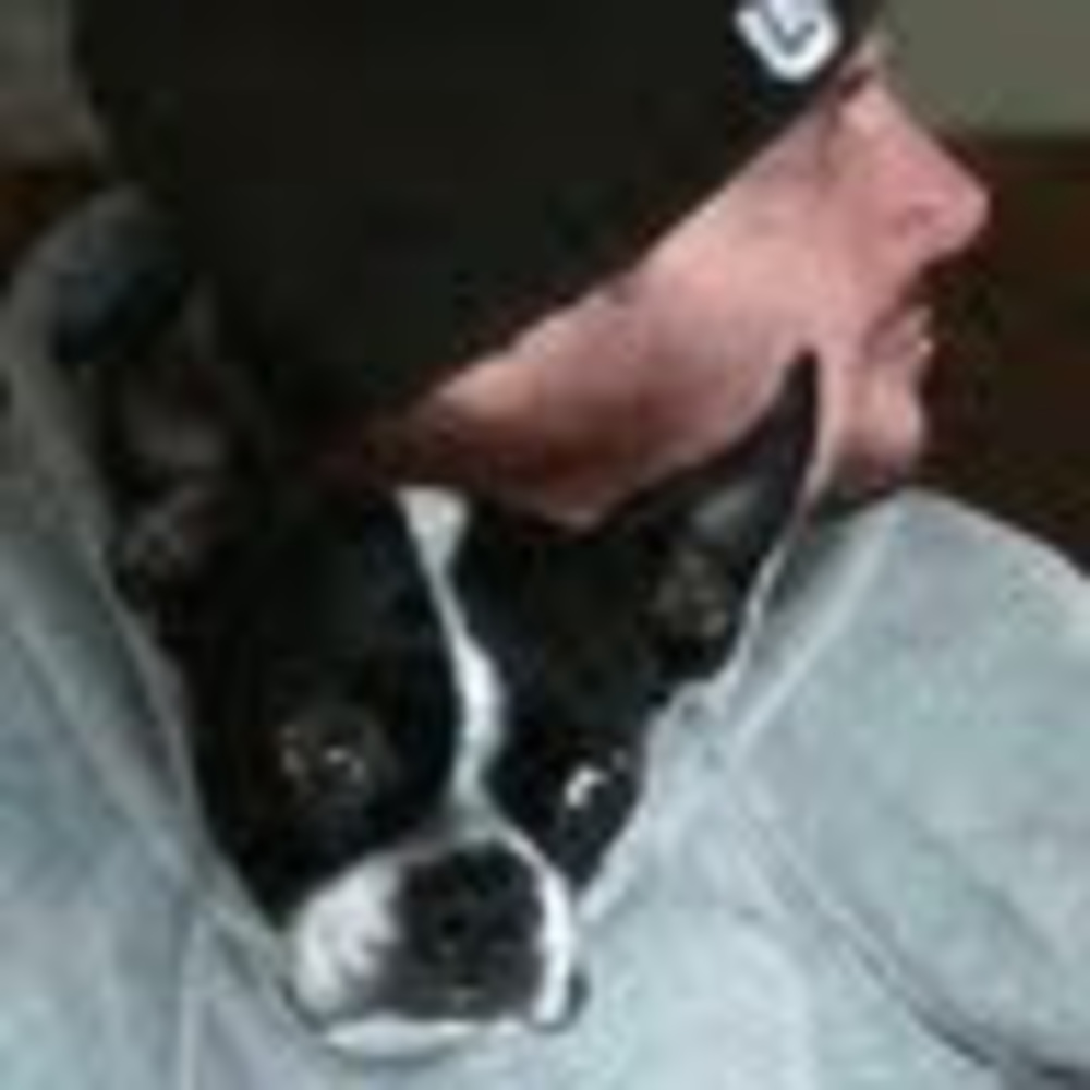 Meet your Posher, Eddie